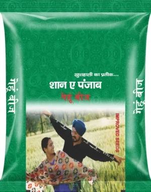 product-jpeg-500x500 (76)